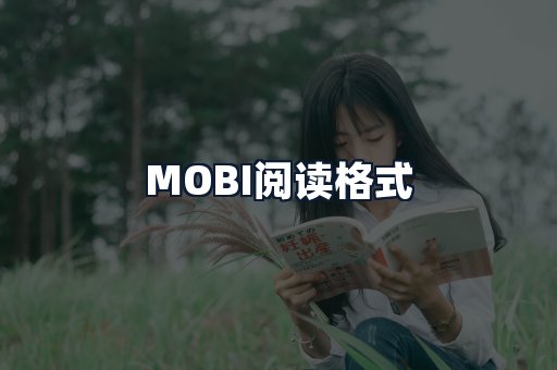 MOBI阅读格式